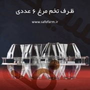 ظرف 6 عددی تخم مرغ معمولی سیف فارم