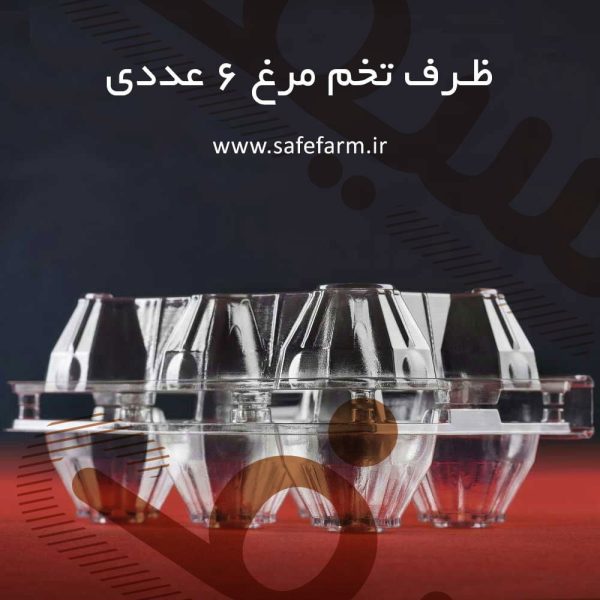 ظرف 6 عددی تخم مرغ معمولی سیف فارم
