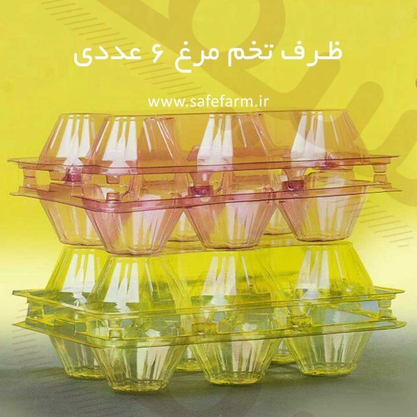 ظرف 6 عددی تخم مرغ معمولی سیف فارم 2