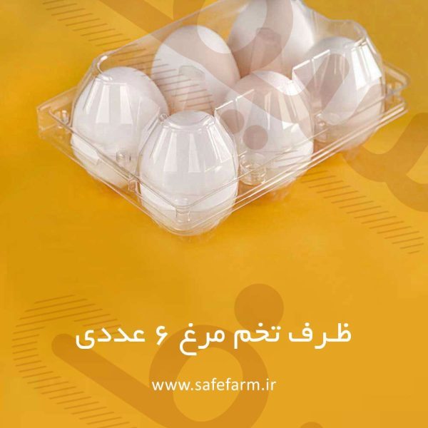 ظرف 6 عددی تخم مرغ معمولی سیف فارم 3