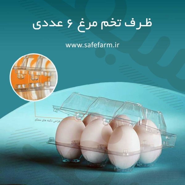 ظرف 6 عددی تخم مرغ معمولی سیف فارم 4