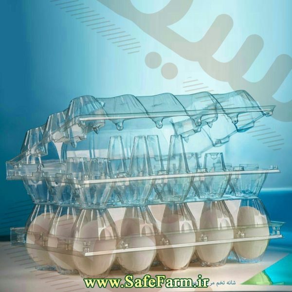 ظرف بسته بندی تخم مرغ 15 عددی سیف فارم