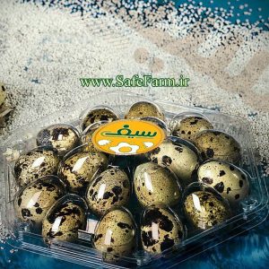 ظرف تخم بلدرچین 18 عددی سیف فارم