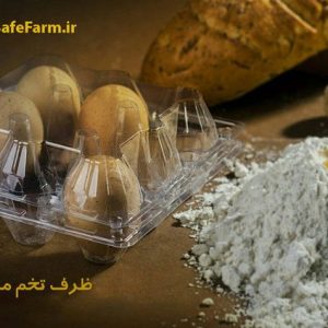 ظرف تخم مرغ محلی